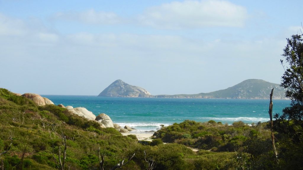 Walking into Whisky Bay, Wilson's Promontory where the beach was littered with cuttlefish. www.gypsyat60.com