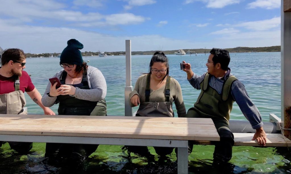 Everyone in the group was excited at the prospect of eating Coffin Bay oysters! www.gypsyat60.com