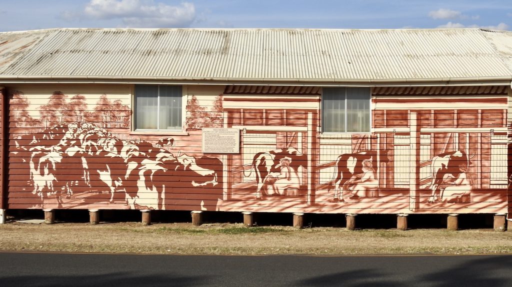 Millmerran Mural on the old butter factory showing how the cows were milked way back then. www.gypsyat60.com