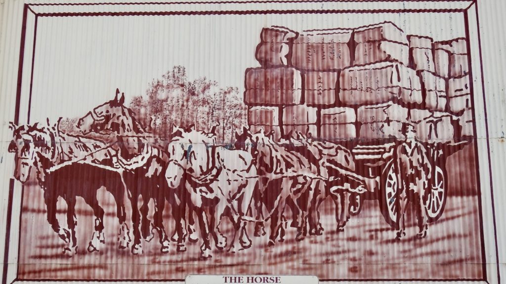Horses of Millmerran in the early 1900s delivering the wool clip. Motor vehicles didn't arrive until the mid 1920s. www.gypsyata60.com