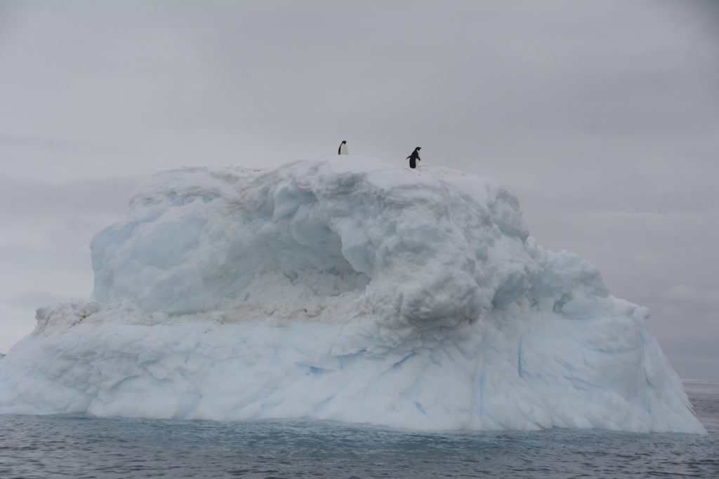 Penguins on an iceberg - Antarctica. www.gypsyat60.com