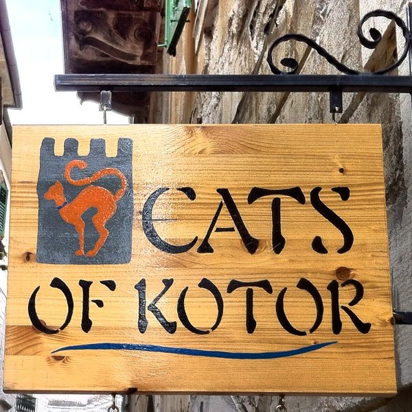 Cats of Kotor Souvenir shop. www.gypsyata60.com