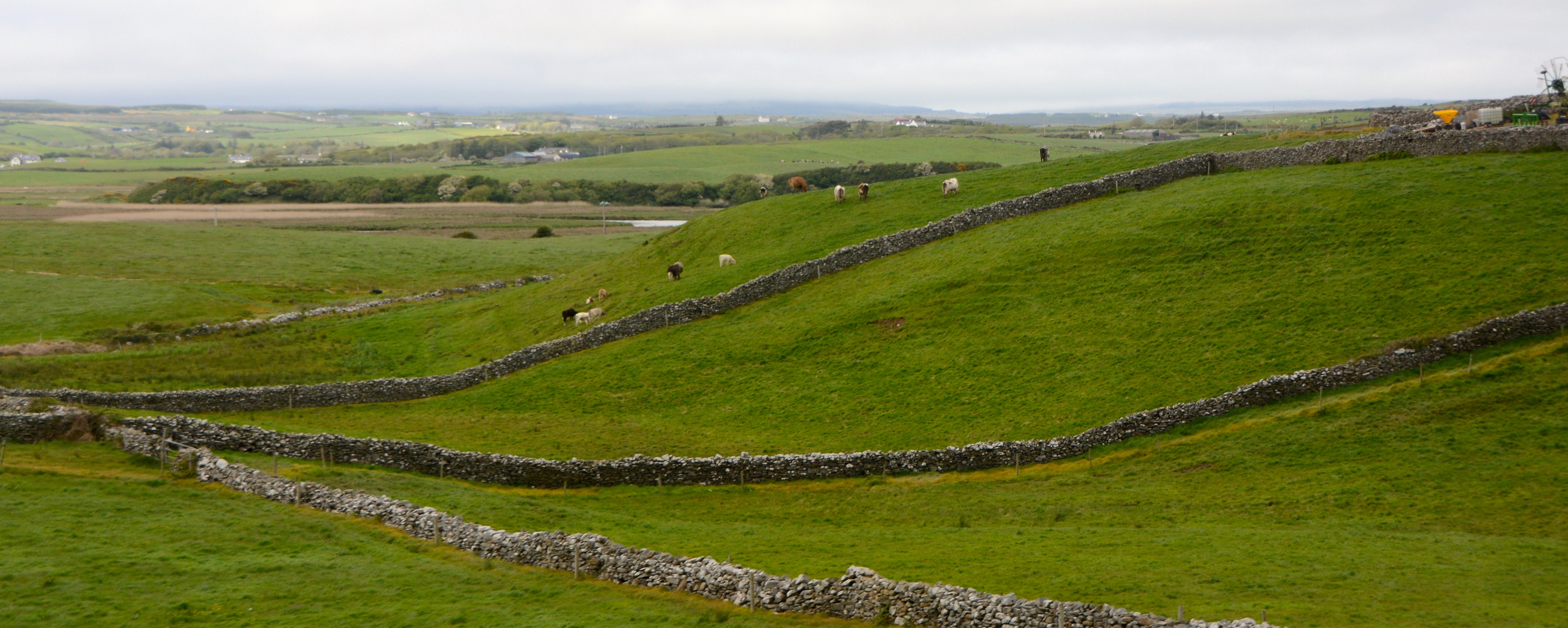 The stone walls of the Irish countryside. www.gypsyat60.com