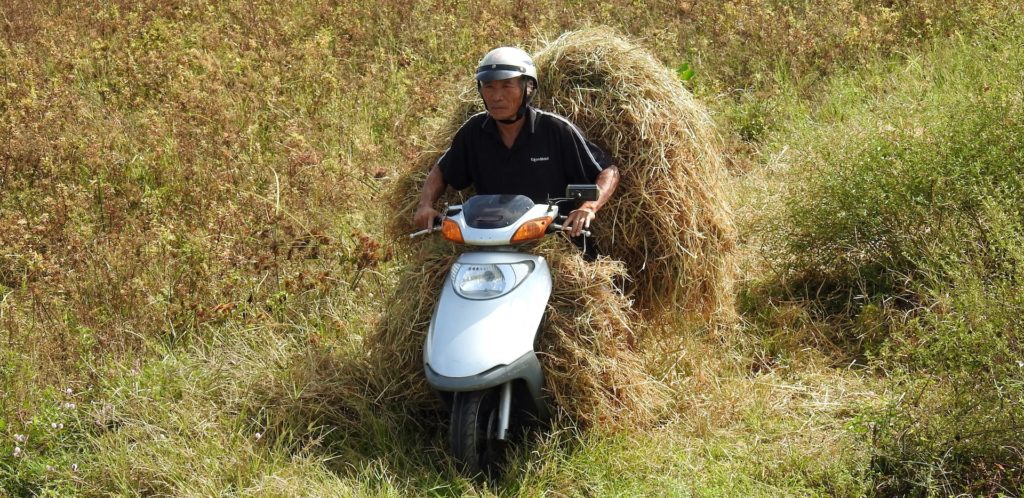 Harvested rice being transported for processing on the back of a motorbike, Ho Chi Minh, Vietnam. www.gypsyat60.com