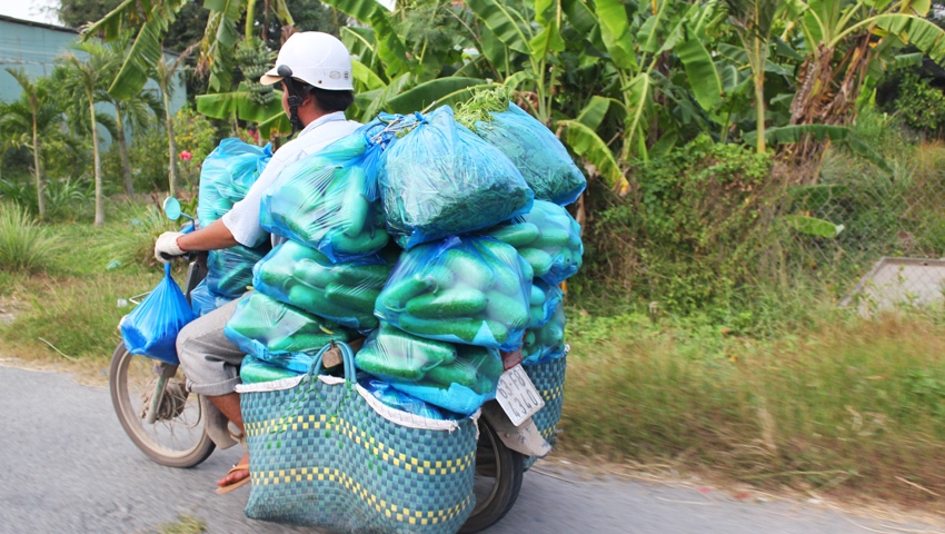 A tonne of cucumbers being transported by motorbike in Ho Chi Minh, Vietnam. www.gypsyat60.com