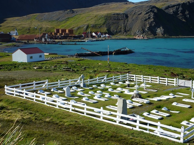 Overview of The Whalers Cemetery, Grytviken, South Georgia, Antarctica. Ernest Shacketon's grave is the large stone pillar at the back of cemetery. www.gypsyat60.com