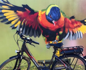 Huge parrot (artwork) admiring the Merida E-spresso City 510 bike. www.gypsyat60.com