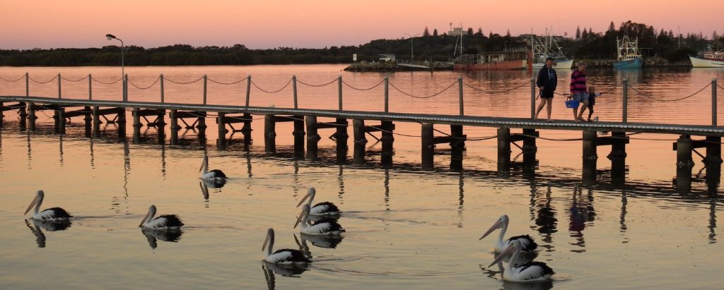 Pelicans at Yamba heading off into the sunset to roost for the night. www.gypsyat60.com