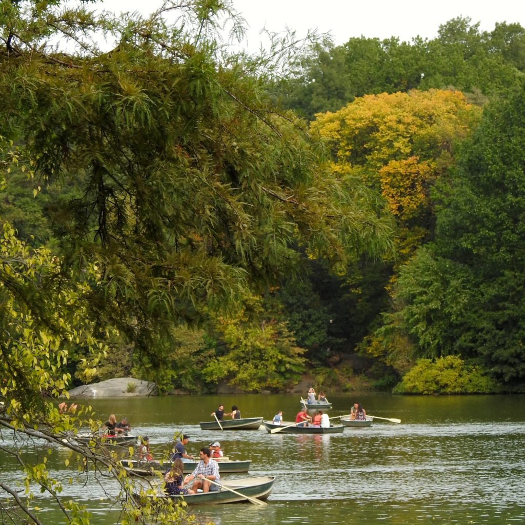 A lazy day of boating - Central Park Lake, NYC - autumn colours just starting to show on the trees.www.gypsyat60.com