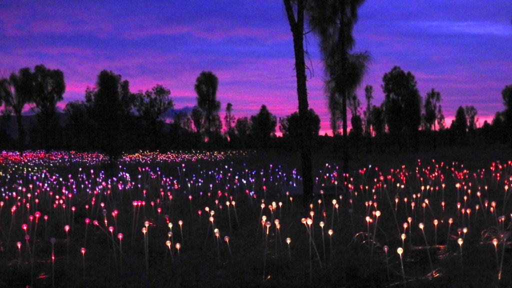Field of Light at Sunrise, Uluru, Northern Territory. Created by artist Bruce Munro and featuring 50,000 constantly changing light stems.www.gypsyat60.com