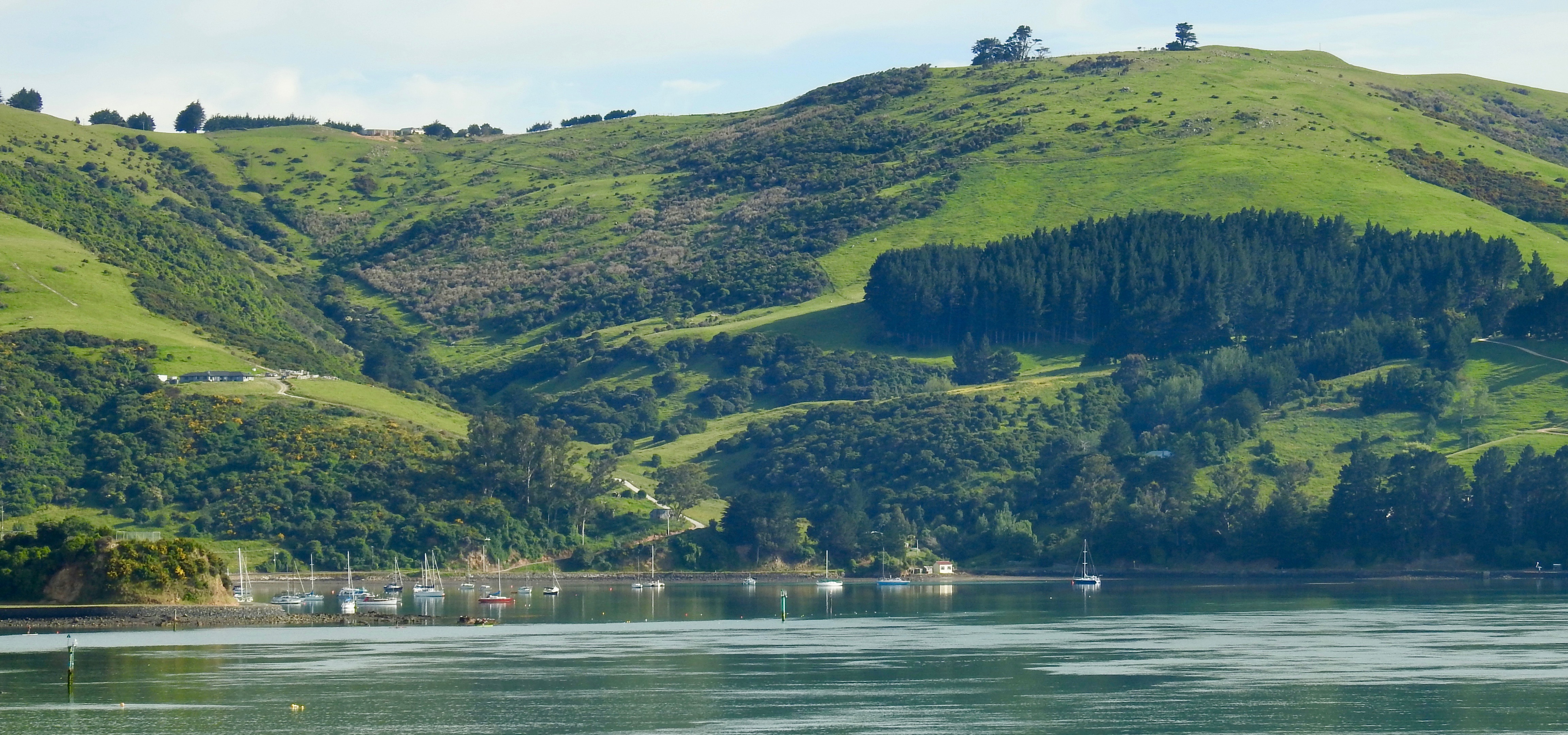 Sailing out of Port Chalmers, Otago Peninsula, NZ, and leaving the beautiful town of Dunedin behind. www.gypsyat60.com