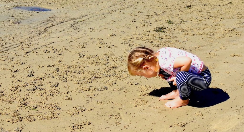 Child looking for yabbies and sand crabs at Toorbul Beach, Moreton Bay Region, Queensland. www.gypsyat60.com