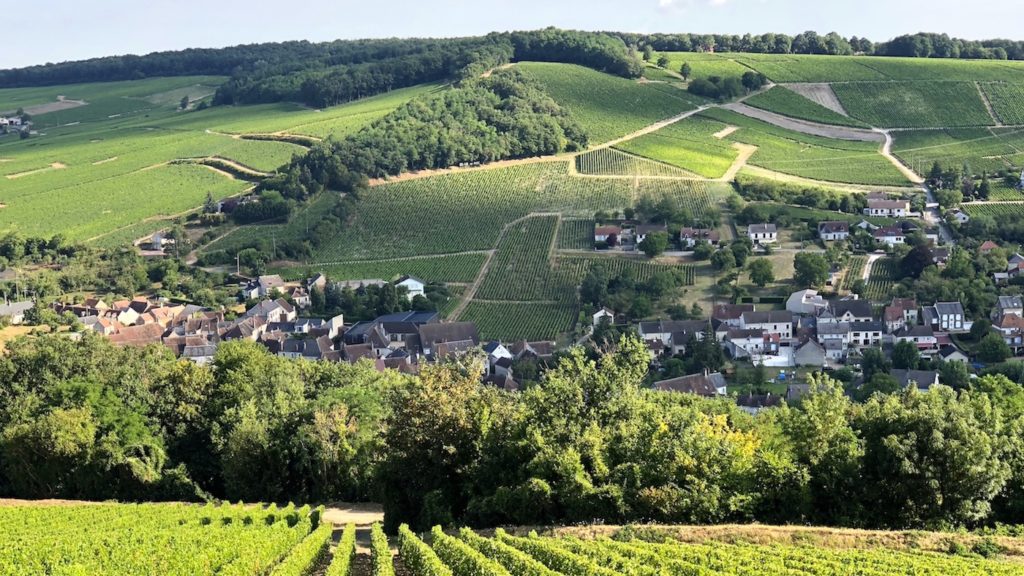 Sancerre - view from the top of the town showing all the vineyards and villages below. www.gypsyat60.com