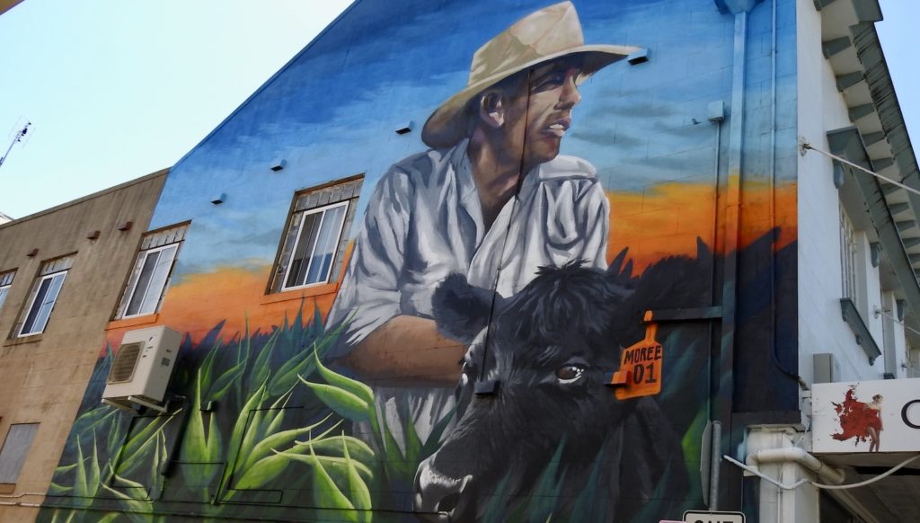 Moree Murals - Artist is James Ellis, and his subject is a farmer with his calf in a field of oats – highlighting the significants of Agriculture, the largest industry in the Moree plains. The mammoth piece is three stories high and 12m long. Time taken was 2 days and a ‘stockpile’ of spray cans. James said he worked from sunrise to sunset and even as late as 10 pm to be complete. www.gypsyat 60.